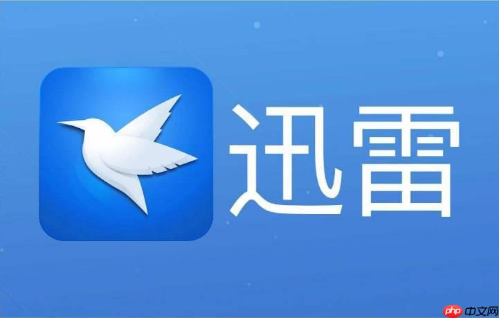 迅雷网盘复制链接怎么打开 链接转存操作指南