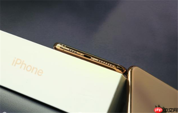 手机iPhonexs中没声音如何处理？处理iPhonexs没声音方法说明