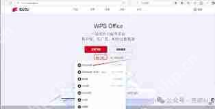 WPS如何通过接入满血DeepSeek实现无需本地部署开启高效办公-WPS接入满血DeepSeek开启高效办公且无需本地部署的方法