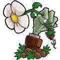 植物大战僵尸支线版