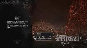 光与影33号远征队持久迅捷符纹怎么获取