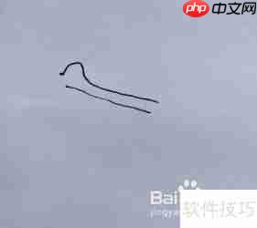 天鹅简笔画教程:学会画天鹅的方法