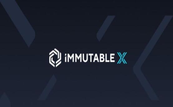 IMX币未来价值怎么样？IMX币是什么币种