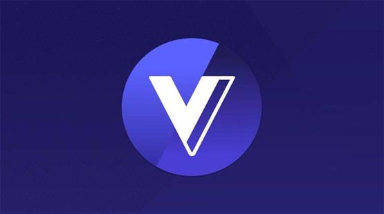 VGX币是什么币？VGX币怎么样？
