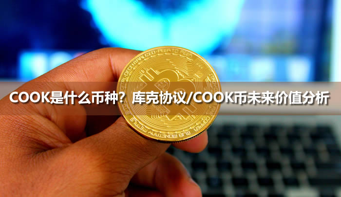 COOK是什么币种？库克协议/COOK币未来价值分析