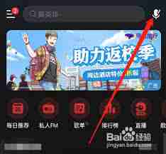 网易云音乐听歌识曲历史记录在哪查看-如何找回网易云音乐听歌识曲的历史记录