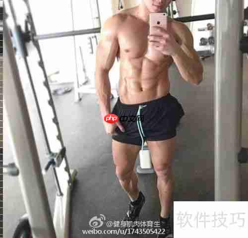 青少年健身健美计划指导手册