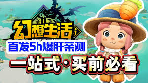 幻想生活i新手实用技巧有哪些