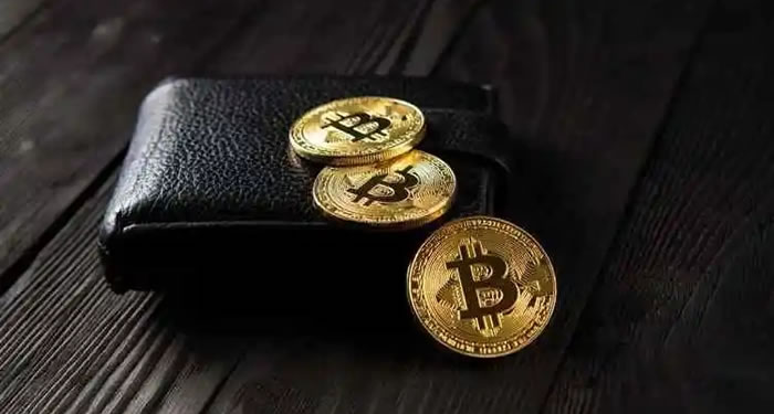 怎么将比特币导入wallet？比特币wallet哪个最好用？