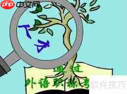 掌握这些技巧,让你在考试中游刃有余!