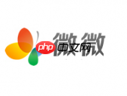 微微APP怎么打开自动备份通讯录？打开自动备份通讯录的方法说明