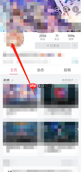 哔哩哔哩他人头像挂件怎么查询
