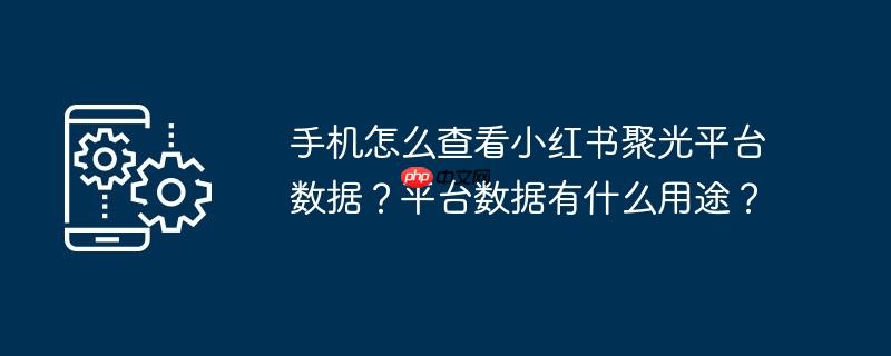 手机怎么查看小红书聚光平台数据？平台数据有什么用途？