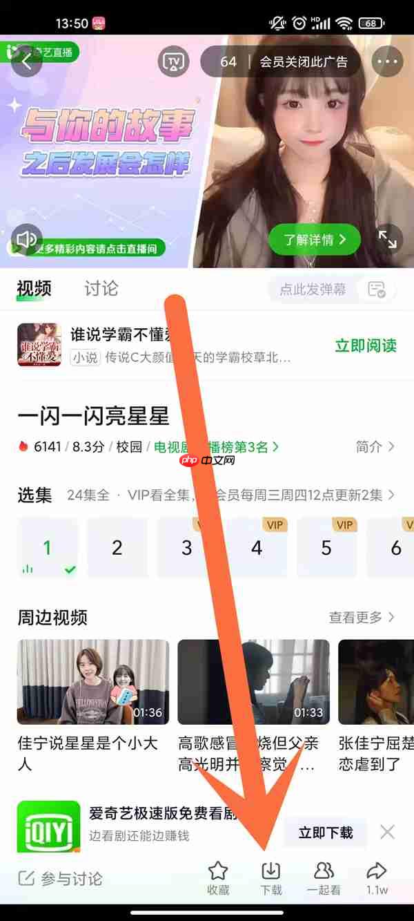 爱奇艺视频怎么下载