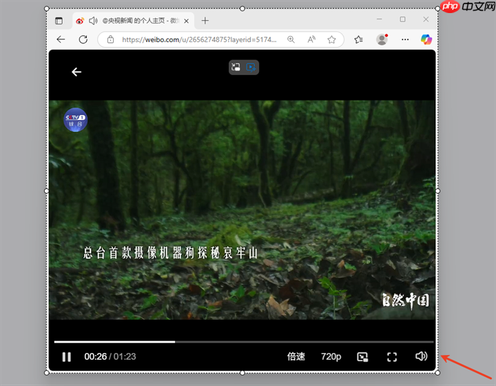 小旺AI截图V1.1.6版本更新,截图窗口自动吸附