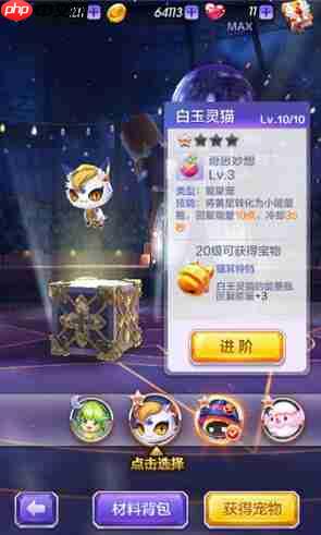 天天酷跑3D白玉灵猫怎么样 白玉灵猫实用性评测