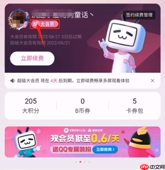 哔哩哔哩超级大会员有什么用