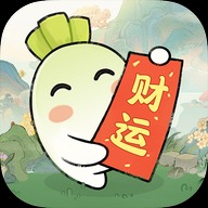 财运花开