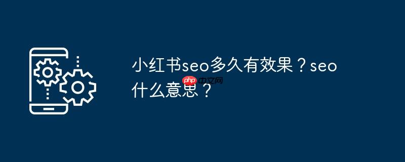 小红书seo多久有效果？seo什么意思？