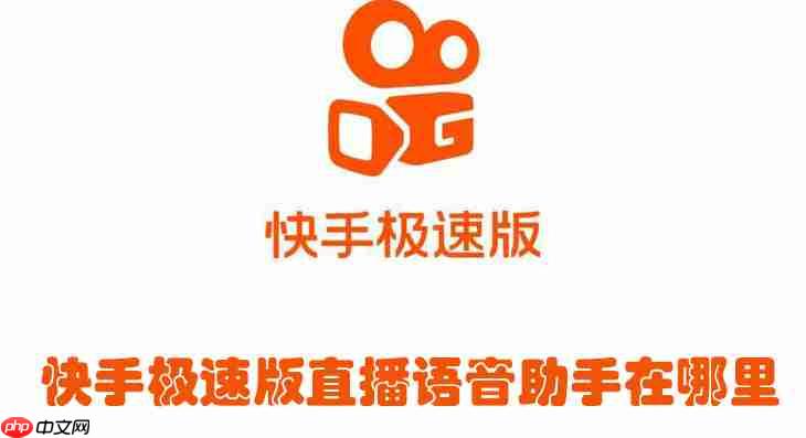 快手极速版直播语音助手在哪里