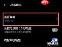 realmegtneo2如何开启红包助手