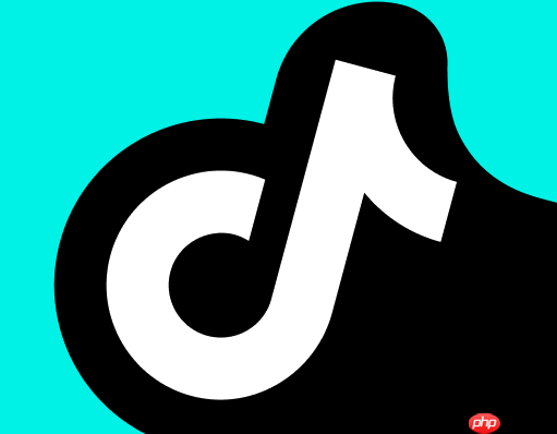 抖音如何制作高转化率的带货视频？脚本结构与话术优化