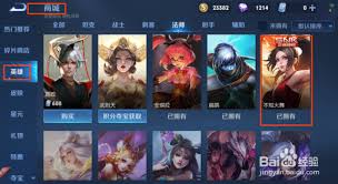 王者荣耀不知火舞怎样去除全部星元服装