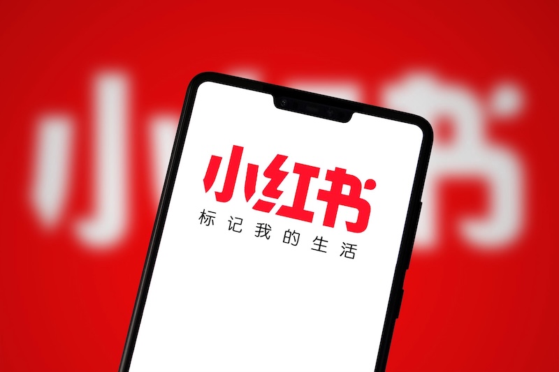 小红书搜索功能无法正常使用怎么处理？