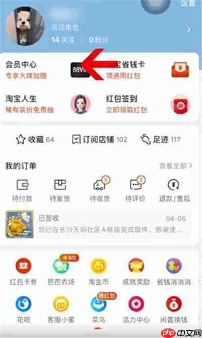 淘宝淘气值怎么查看