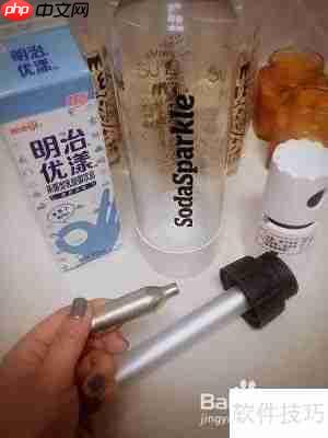 学会这招,轻松做出可尔必思同款饮品!