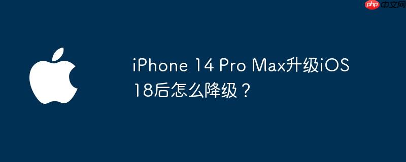 iPhone 14 Pro Max升级iOS 18后怎么降级？