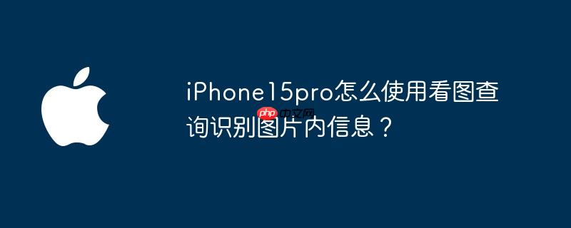 iPhone15pro怎么使用看图查询识别图片内信息？