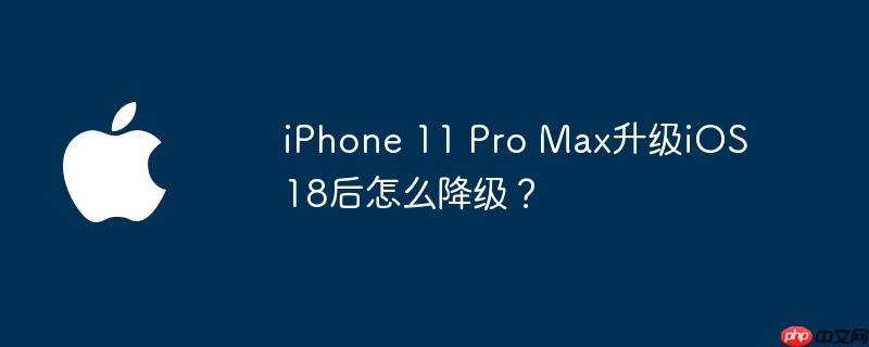iPhone 11 Pro Max升级iOS 18后怎么降级？