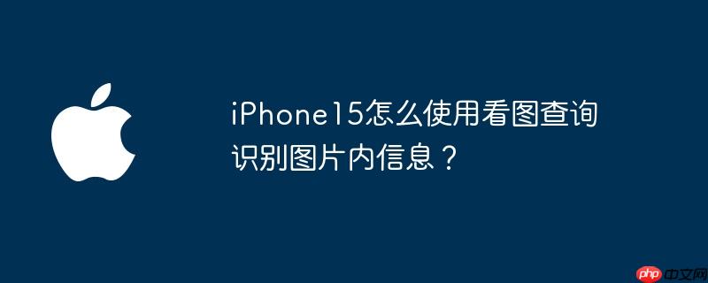 iPhone15怎么使用看图查询识别图片内信息？