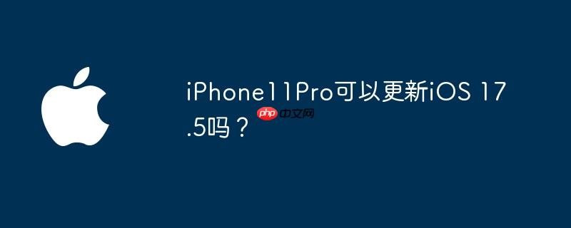 iPhone11Pro可以更新iOS 17.5吗？