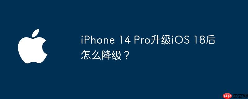 iPhone 14 Pro升级iOS 18后怎么降级？