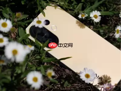 vivo S50定档12月：骁龙8 Gen5与影像升级打造中端旗舰