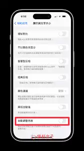 iPhone 17自动亮度调节教程：高效设置方法与原理解析