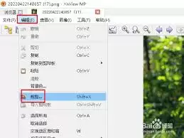 XnView自动裁剪开启教程：3步学会批量处理图片