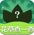 花草查一查