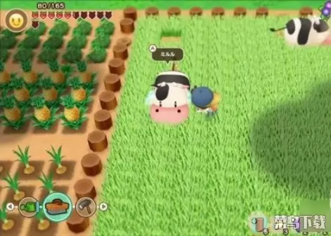 牧场物语重聚矿石镇全npc喜好一览