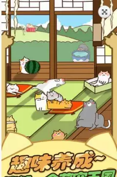 猫咪田园