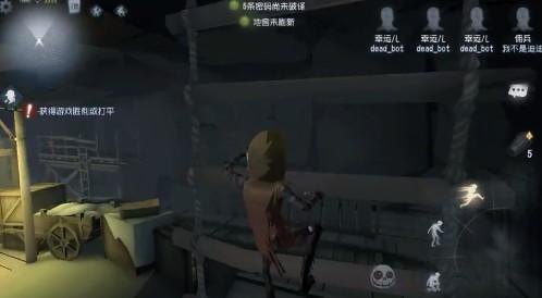 菜鸟