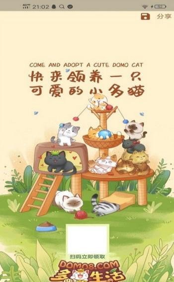 阳光养猫场