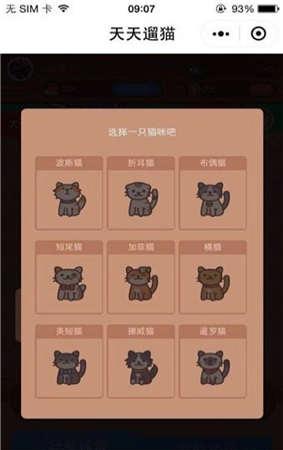 天天遛猫