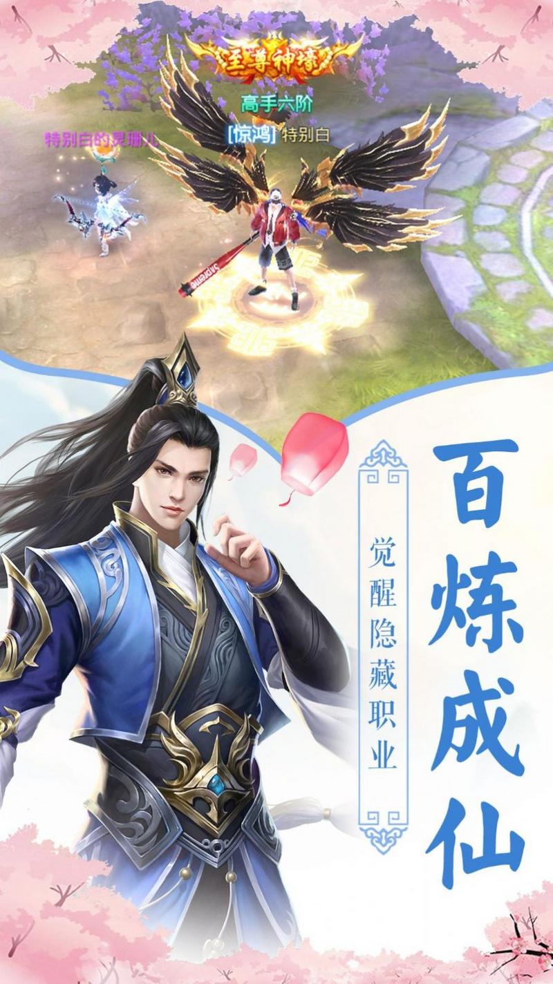 逆天仙师