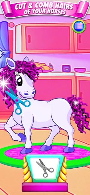 Family Pony Pet Salon Stylist