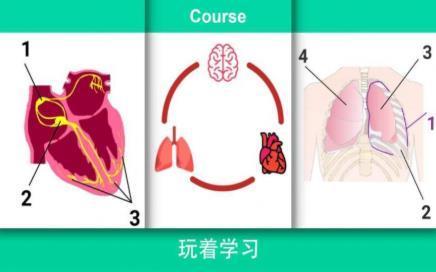 现实医疗模拟器