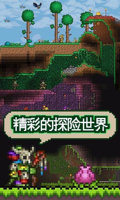 泰拉瑞亚1.3国际版全物品存档版