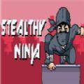 Stealthy ninja